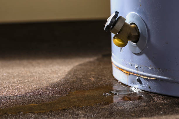 Best Flood damage cleanup  in San Saba, TX