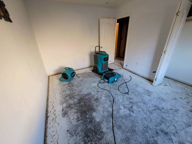 Best 24/7 water damage repair  in San Saba, TX