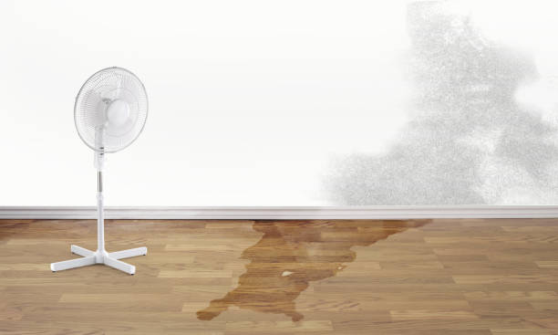 Best Water damage restoration process  in San Saba, TX