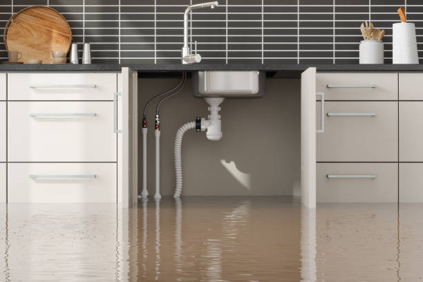 Best Basement water damage restoration  in San Saba, TX
